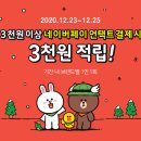 플렉스페이 이미지