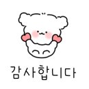 금화애견 이미지
