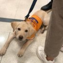 정산동물병원 이미지