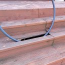 소나무부분정비 이미지