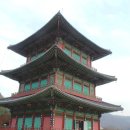 자라진천 이미지