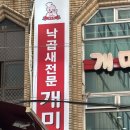 스케쳐스부산광복직영점 | [부산/창선동] 낙곱새의 진짜 원조를 찾아서! 찐 전통을 자랑하는 '개미집' 솔직 후기