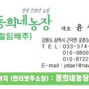 동희네김치 이미지