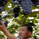 고양축산영농조합법인 이미지