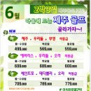 우리들항공여행사 이미지