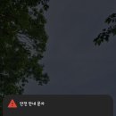 세븐일레븐 송파대성점 네이버블로그