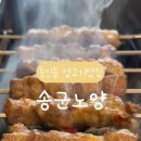 송군노양 이미지