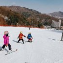 휘닉스파크 이미지