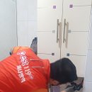 일광방역