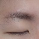 피씨엘코리아 이미지