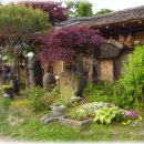 도란도란밥상 이미지