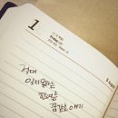 카페써니힐
