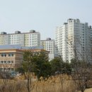 새미래초등학교(병설) 이미지