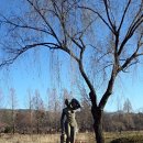 계룡산골프장 이미지