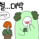 더숲엔젤 이미지
