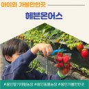 영상농장 | 헤븐온어스, 주말 가족나들이 가기 좋은 서울 근교 용인딸기체험농장
