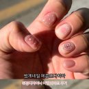 메종드다이아 이미지