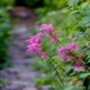 노고단-13 이미지