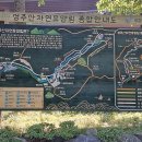 성주산 | (보령 성주산 휴양림) 한토 주중 산행 5번째를 다녀오다