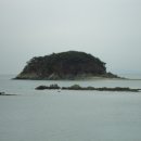 목섬농장 네이버블로그