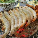 대박꼼장어 이미지