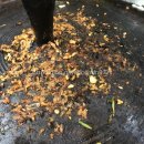 먹자골목1호점 이미지