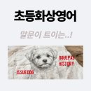 영유 안 보낸 8세 아들, '초등화상영어'로 영어 거부증 극복하고 입 터졌다!