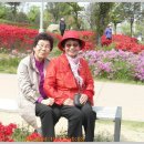 시립도서관 앞 이미지