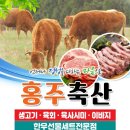 홍주축산 이미지