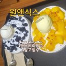 원앤식스커피 - 장흥군 동교3길 5 | 원앤식스커피