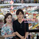 아오로식품 이미지
