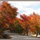 한천자연휴양림 이미지