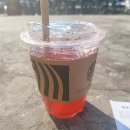 뉴제주약국 이미지