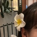 목공구배우기: 바테이블 만들기 | 입벌려 하와이 들어간다2(4박6일 뚜벅이 하와이여행/에어비앤비 체험/레오나즈 베이커리/클룩...
