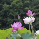 천월당