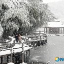 죽향민박 이미지