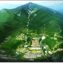 하동스윙점프 이미지