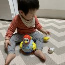 앨짱 일상 : 피콜리노 소파,동원책꾸러기,롯데리아 포켓몬 스노우볼,부천 또마베베