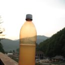 제이드가든 오토캠핑장 이미지