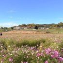 영서로3 이미지