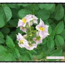 김숙농장 이미지