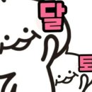달토끼의떡볶이흡입구역 - 청주시 상당구 | 달토끼의떡볶이흡입구역