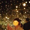 미향상회 이미지