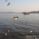 심플하우스 펜션 이미지