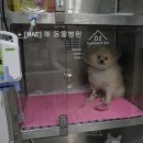 백두동물병원 이미지