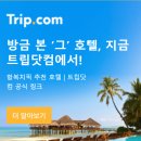 호텔런더너 | 내돈내산 마카오 더런더너 호텔 조식 후기! 1시까지 즐기는 여유로운 조식 뷔페