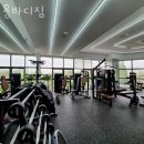 용바디짐 | 탄현동헬스장 용바디짐 위치안내