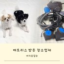 강아지 미세먼지 진드기 매트리스 청소 업체 비치움필승
