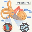 싱긋삼성이비인후과의원 이미지