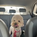 운정 멍발소 이미지